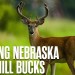 The Brutal Chase for Nebraska Sandhill Bucks | Hunters Advantage Podcast #247 The Brutal Chase for Nebraska Sandhill Bucks | Hunters Advantage Podcast #247