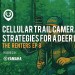 Cellular Trail Camera Strategies for a Deer Hunting Lease | The Renters S1E8 Cellular Trail Camera Strategies for a Deer Hunting Lease | The Renters S1E8