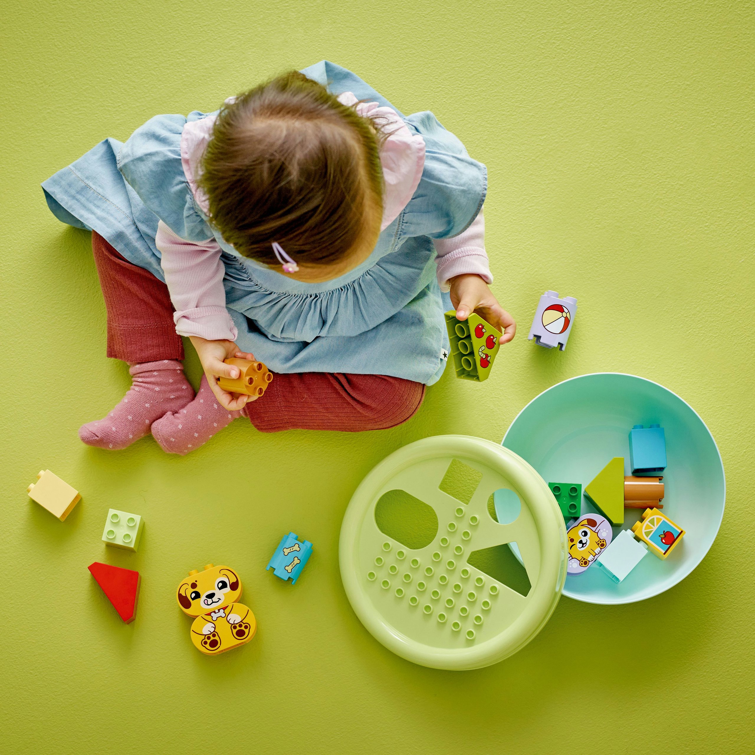 LEGO Duplo 10441 formų rūšiuotojas: šuniukų namai