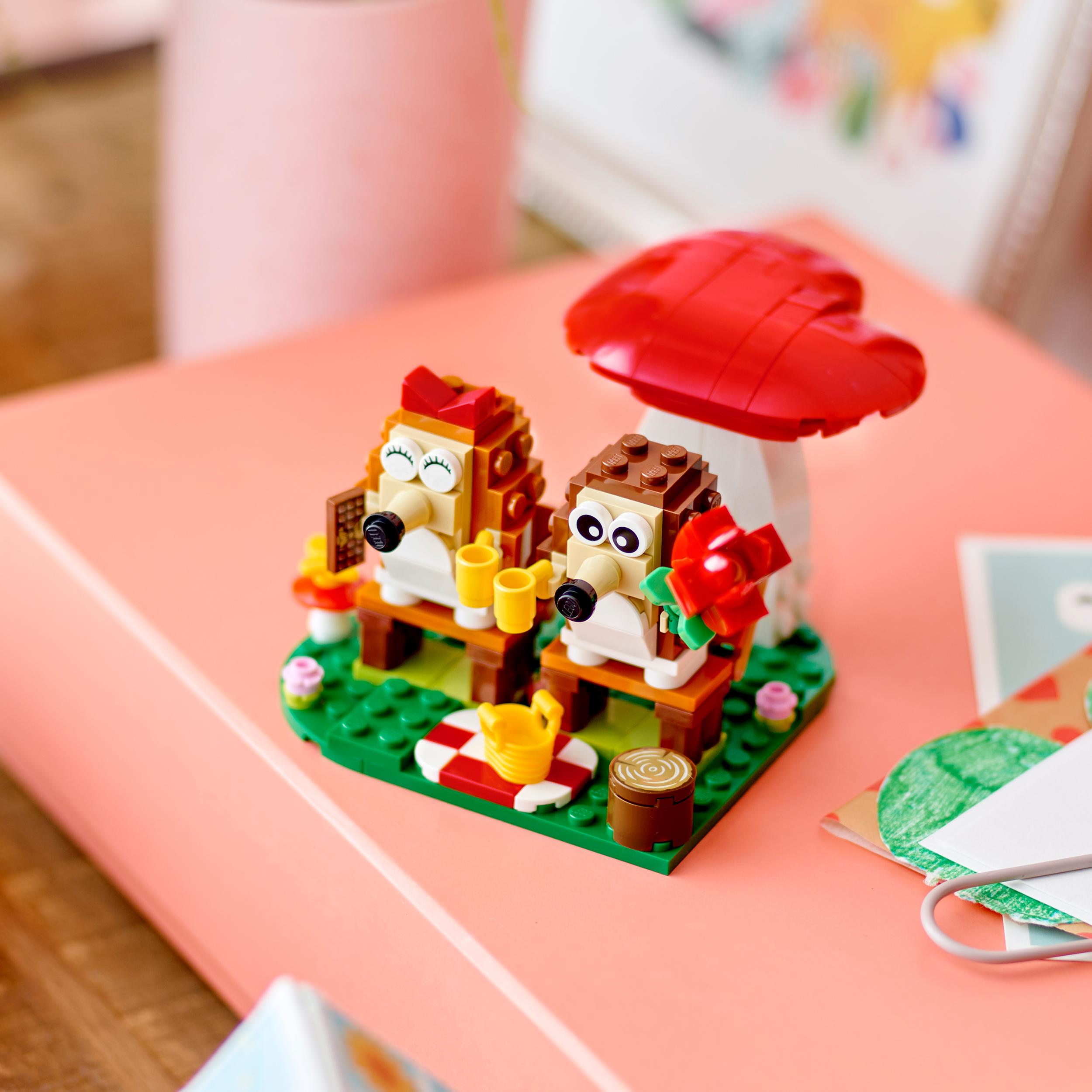LEGO kaladėlės 8+ Ežiuko poros piknikas 40711