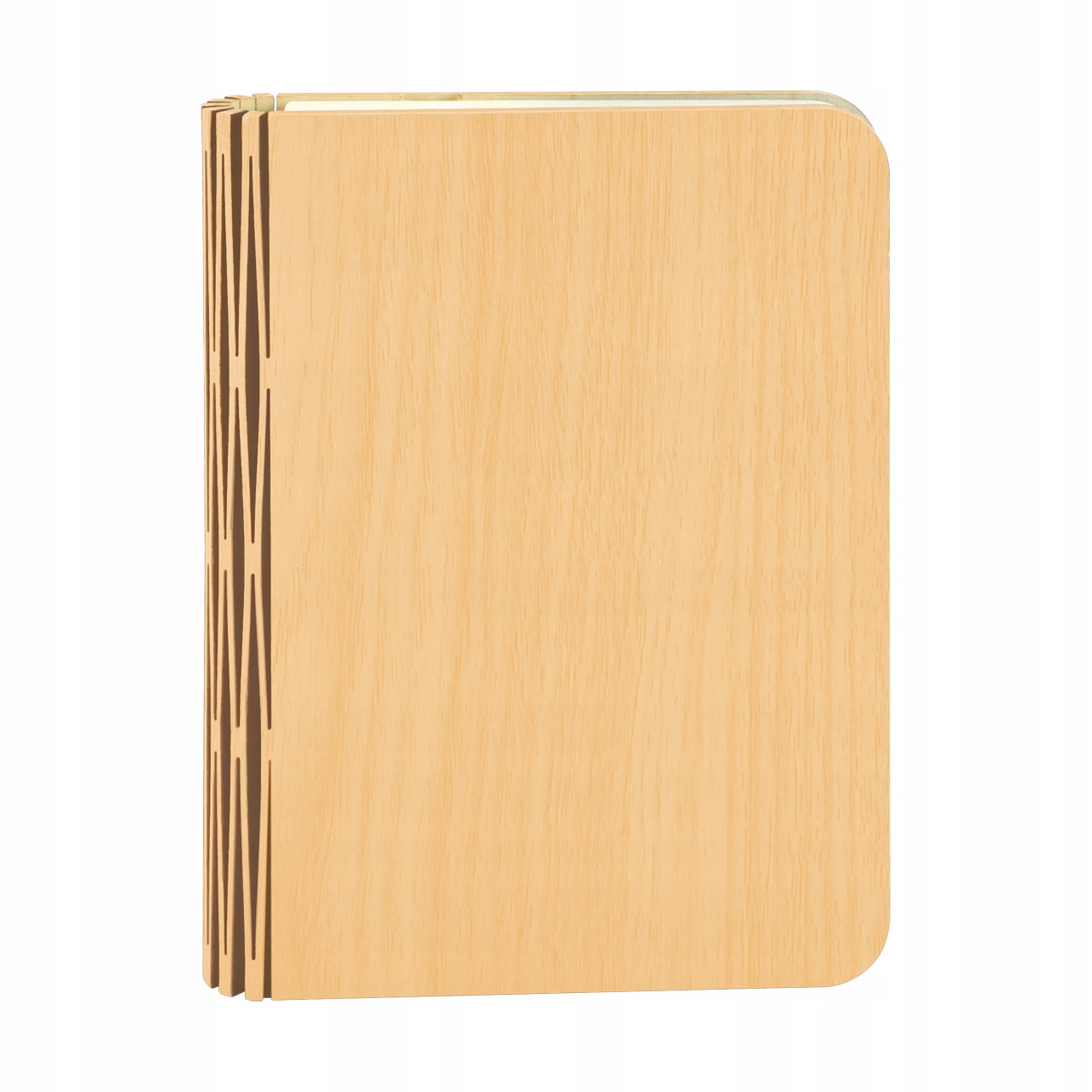 STRUHM Dekoratyvinė lempa su baterijų knygele ALBUM LED 1.6W CCT USB-C