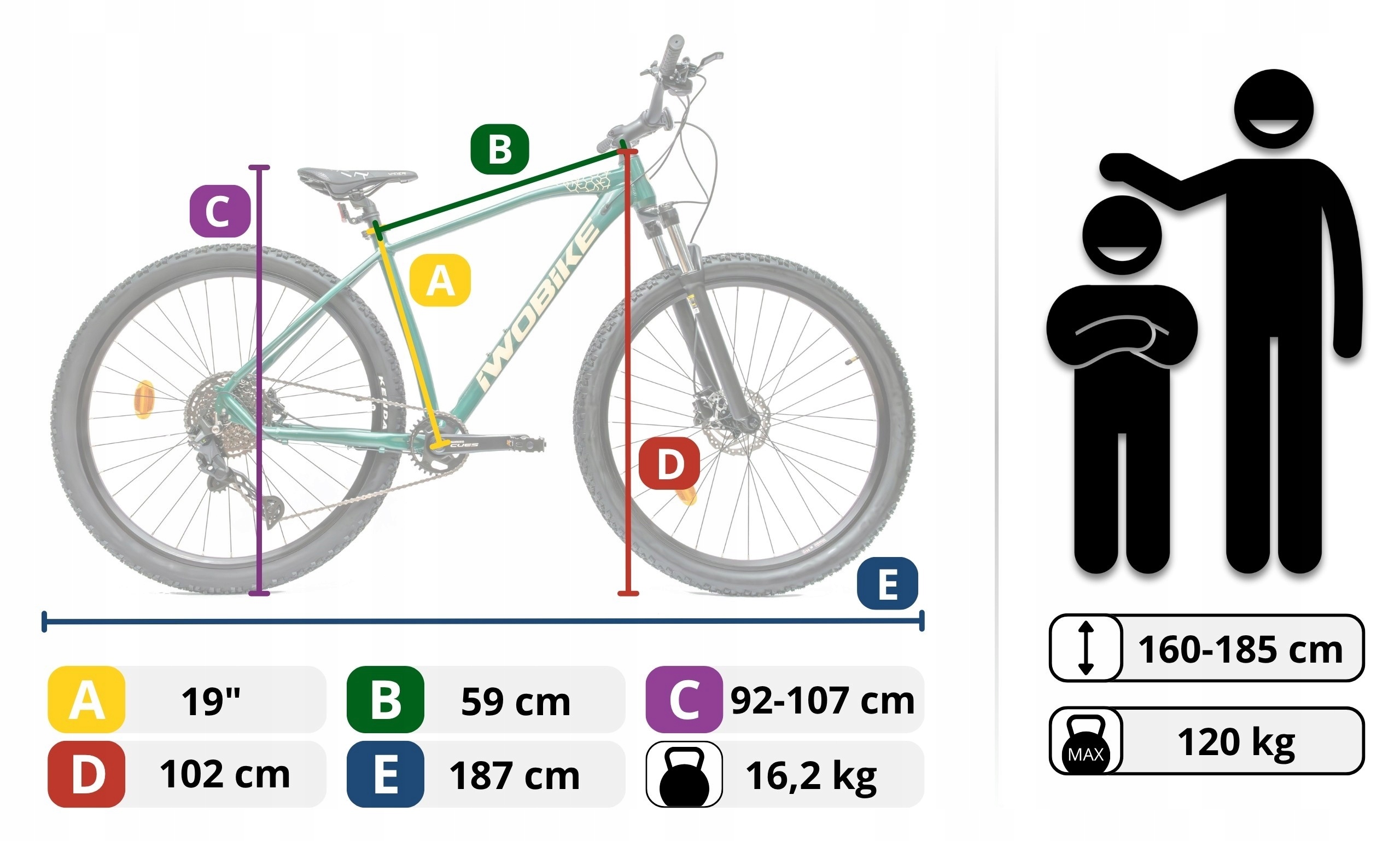 Vyriškas kalnų dviratis 29 aliuminis IWOBIKE Shimano Cues hidraulika, amortizacija