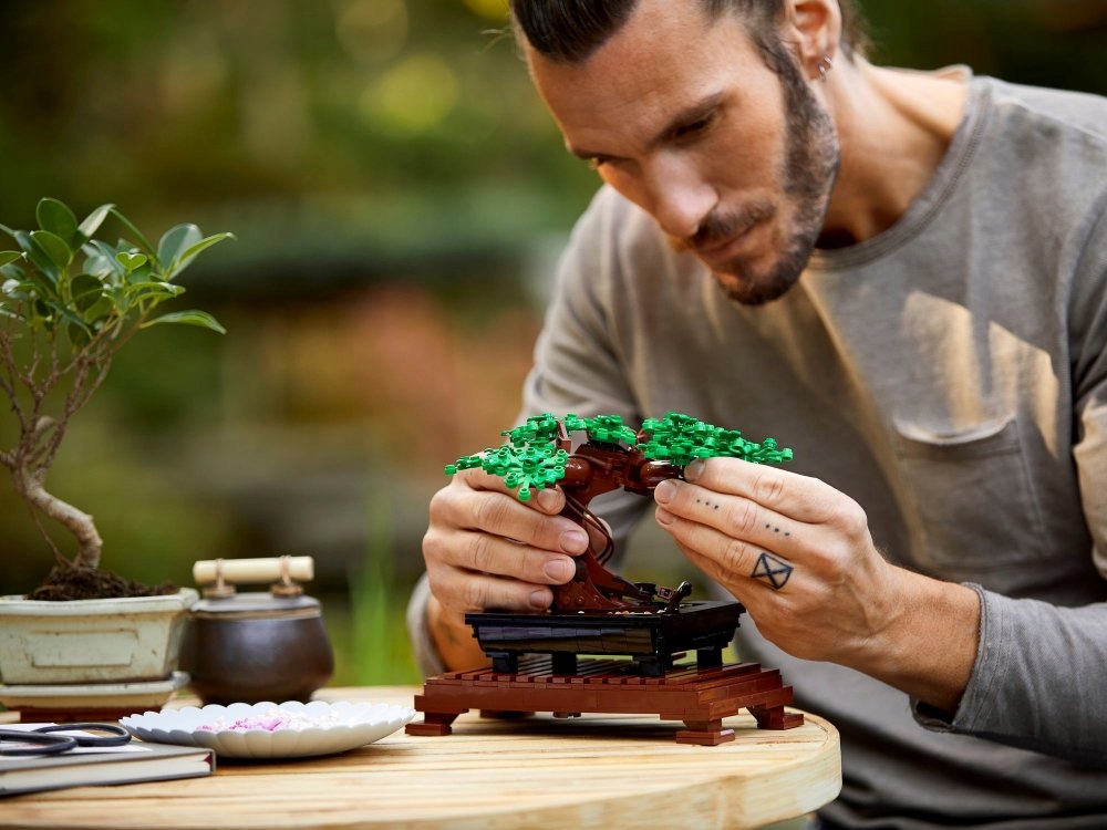 LEGO BOTANICALS bonsai medis 10281