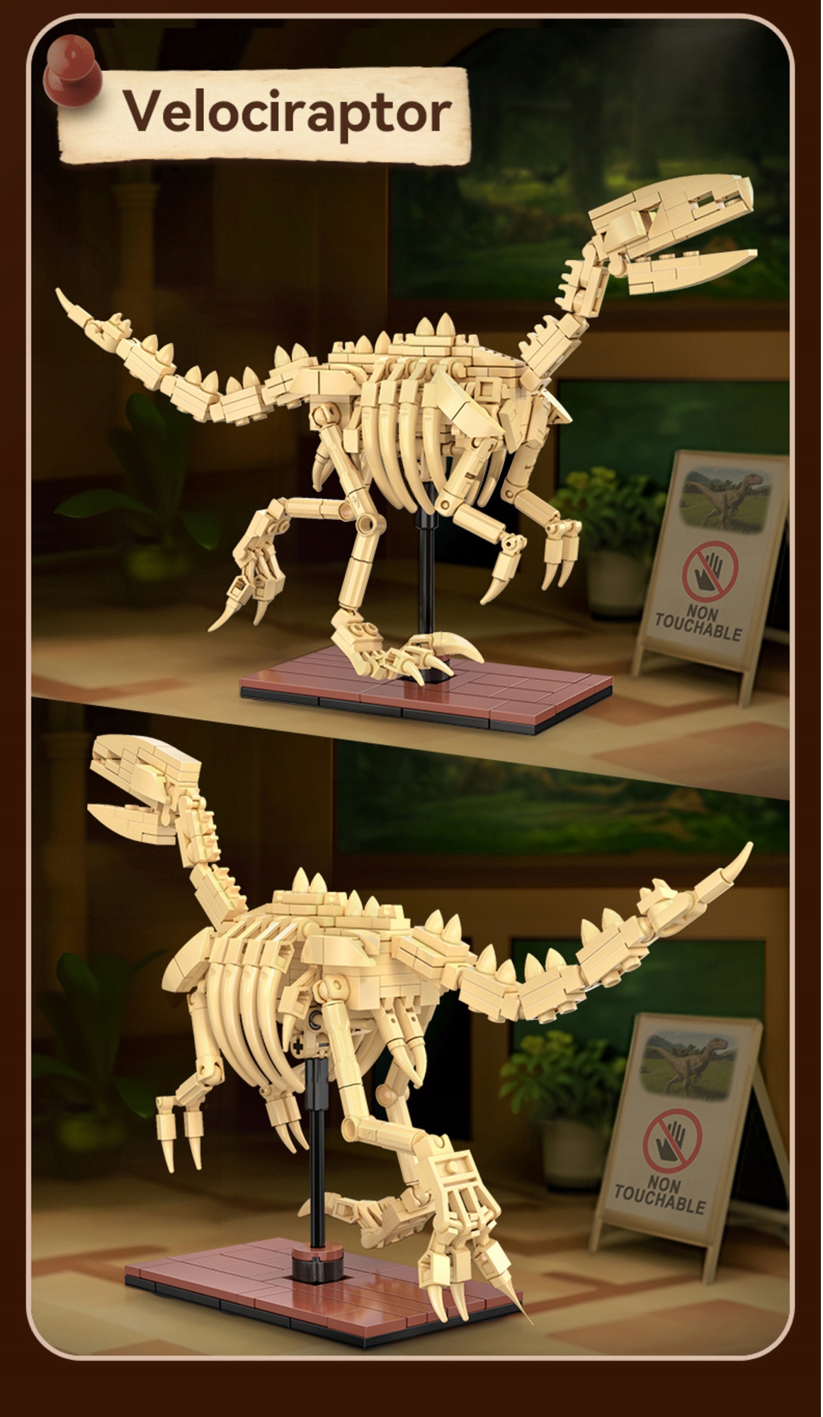 Cada dinozauras sviesiantis skeletas Velociraptor 256 el.