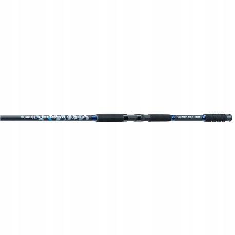 Jaxon Tenesa Catfish Max Rod 2,70m iki 450g
