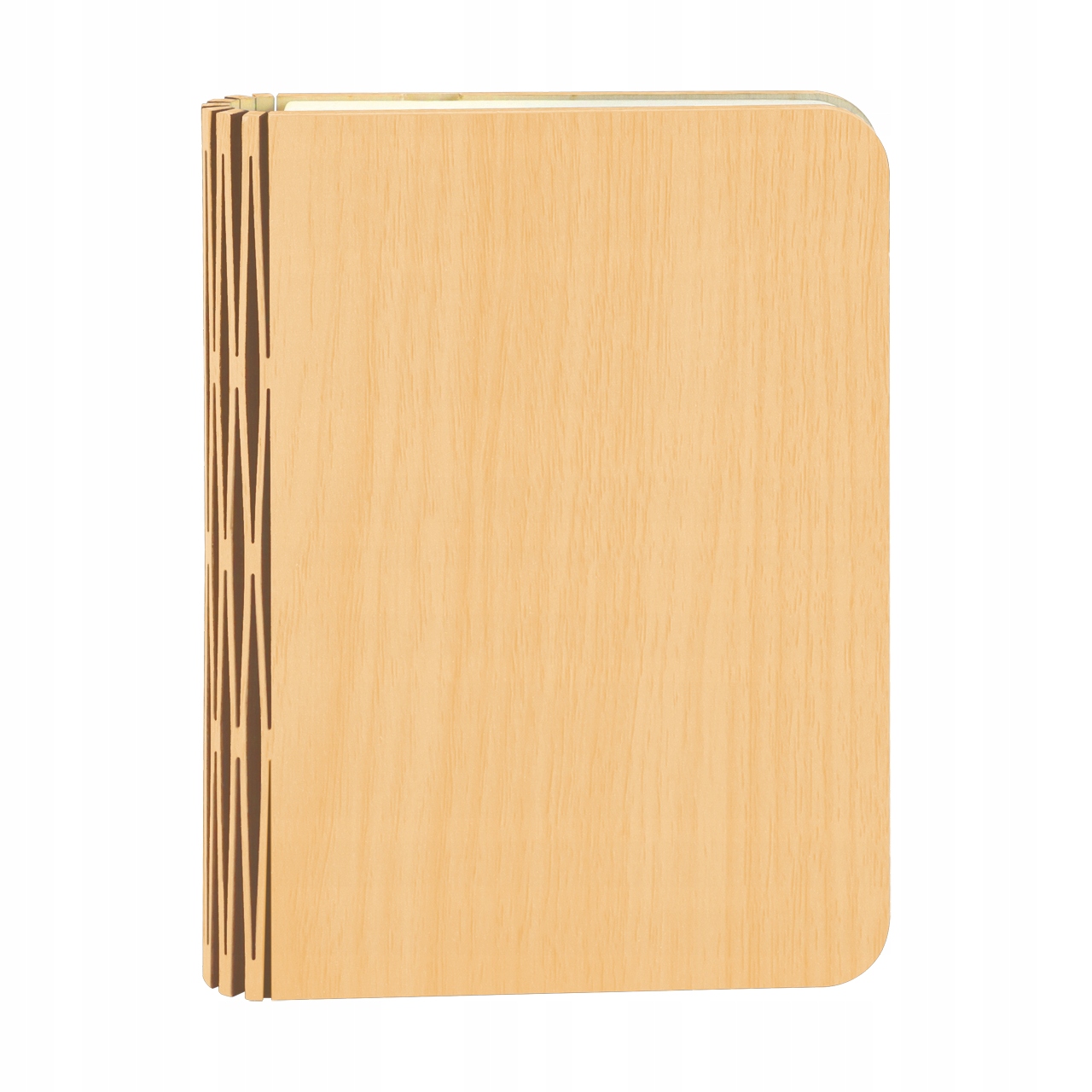 STRUHM Dekoratyvinė lempa su baterijų knygele ALBUM LED 1.6W CCT USB-C