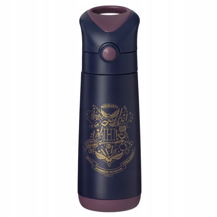 B. dėžutė Terminis buteliukas 500ml HARRY POTTER
