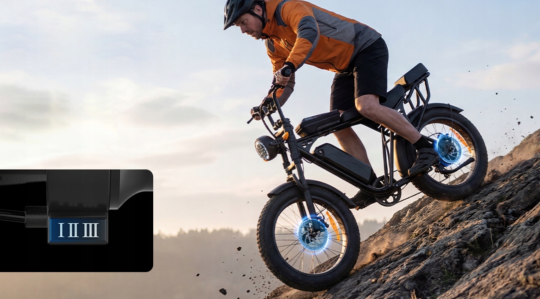 Elektrinis dviratis 20" Fat Bike Mountain 48-60KM diapazonas, 48V 15Ah elektroninis dviratis