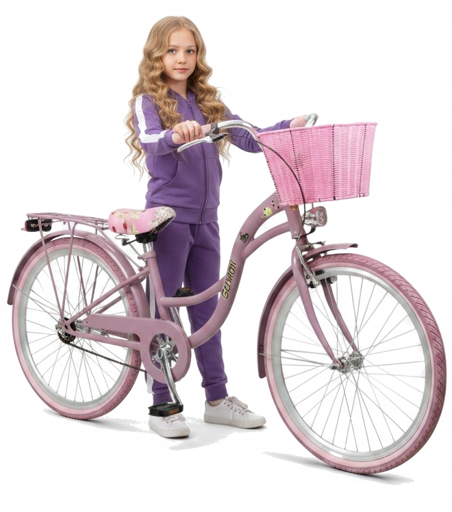 GRAŽUS HEATHER PURPURINIS DVIRAČIO 24 colių 1 GREITIO LILA 128-154 CM KREPŠELIS