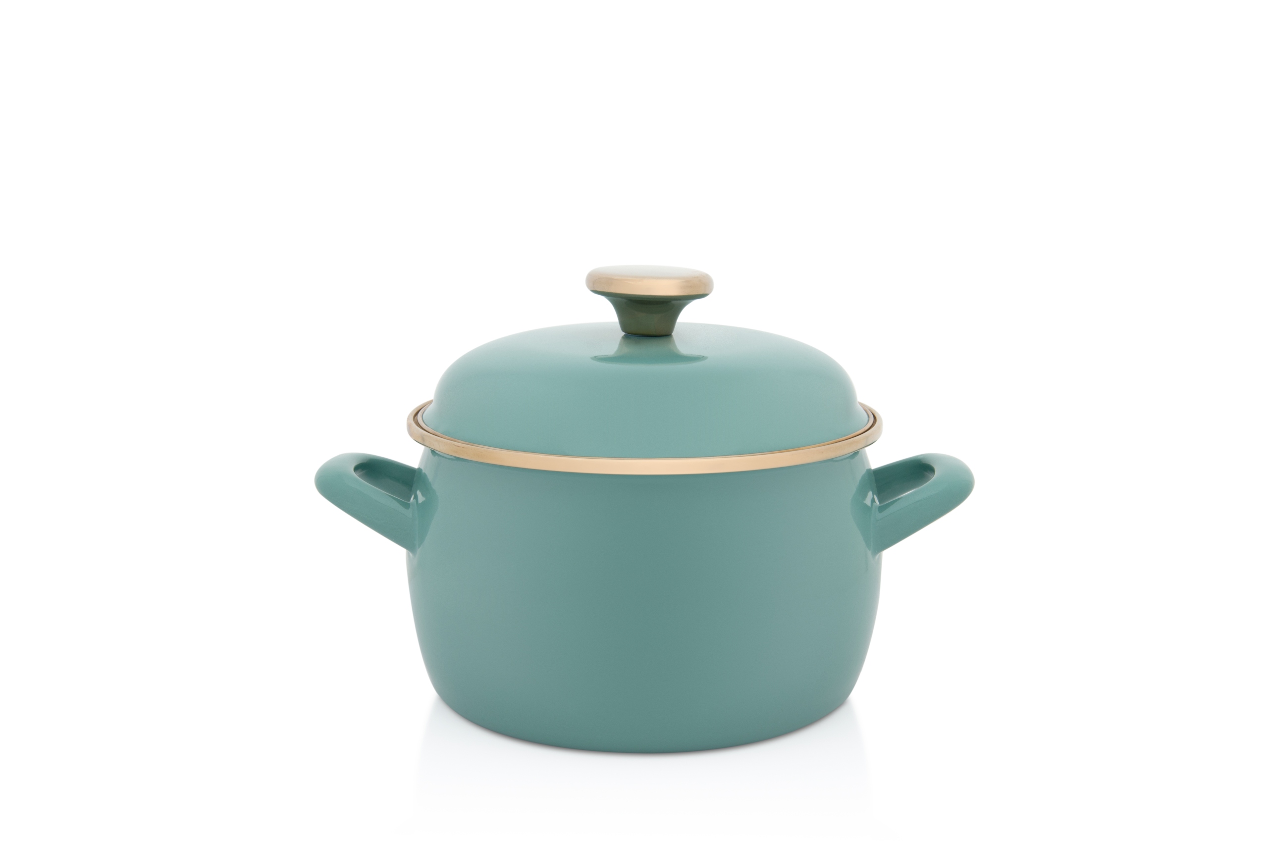 Emaliuotas puodas INDUCTION 18 cm 3,1L, klasikinis mėtų derliaus, Mėtų