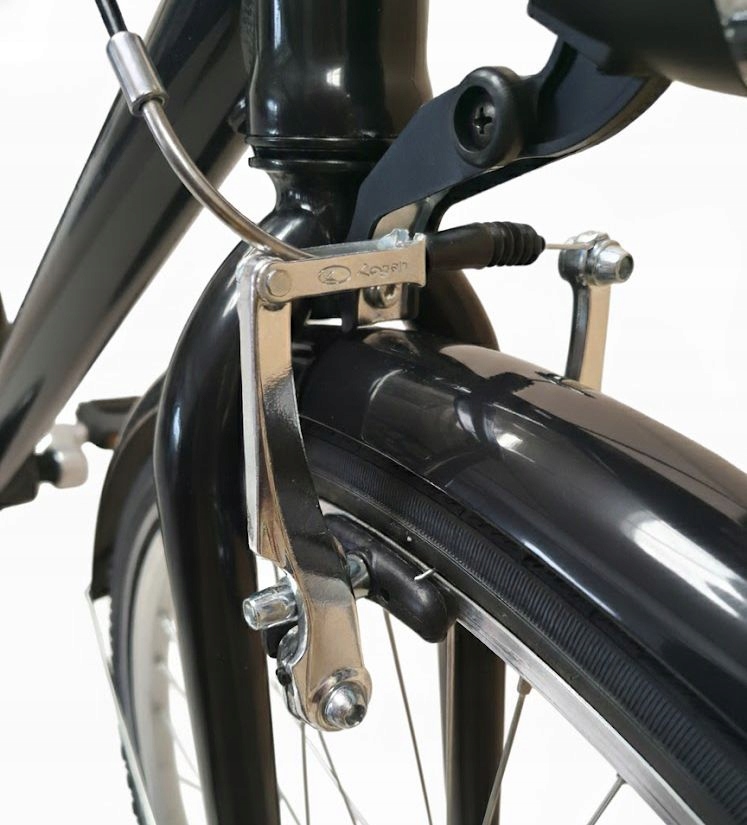 VYRIŠKAS 28 colių žygio dviratis Dallas Bike SHIMANO 7 SPEED 21 col.
