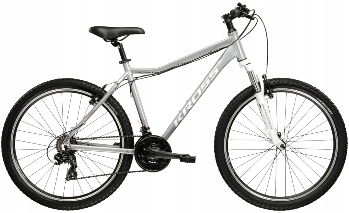 KROSS LEA 1.0 M (19") 26 kalnų dviratis, sidabro/balto blizgesio