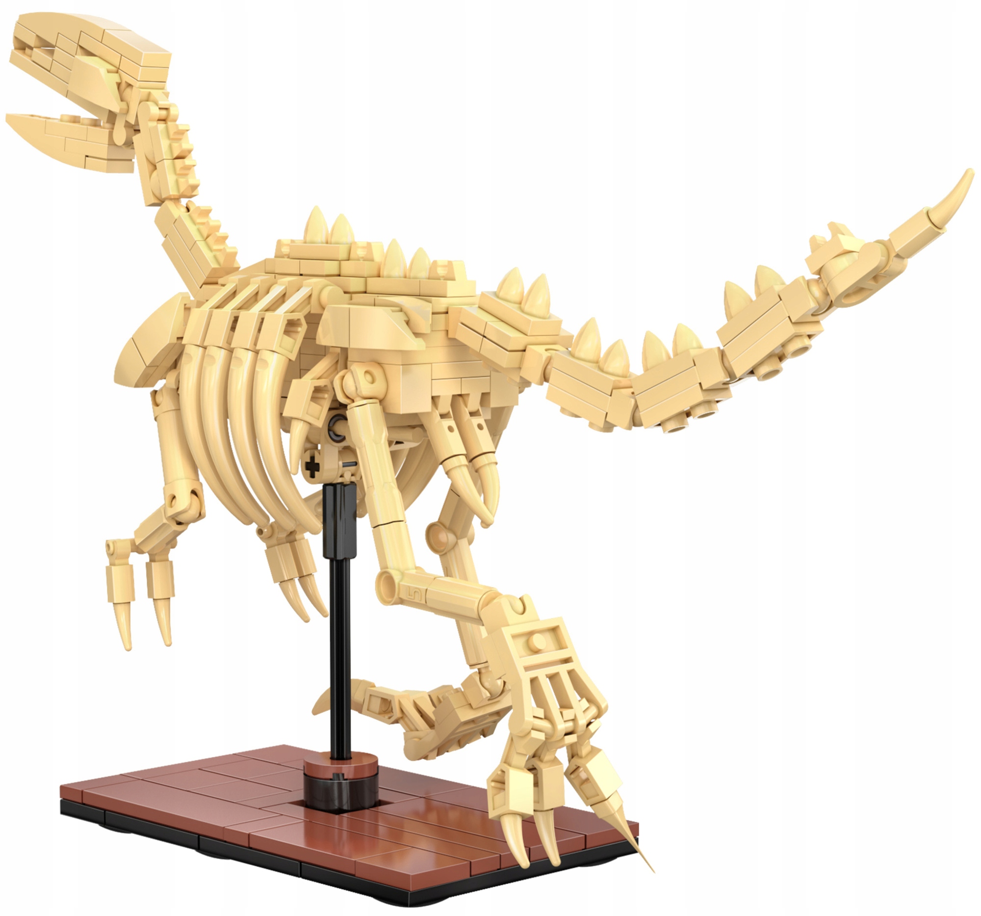 Cada dinozauras sviesiantis skeletas Velociraptor 256 el.