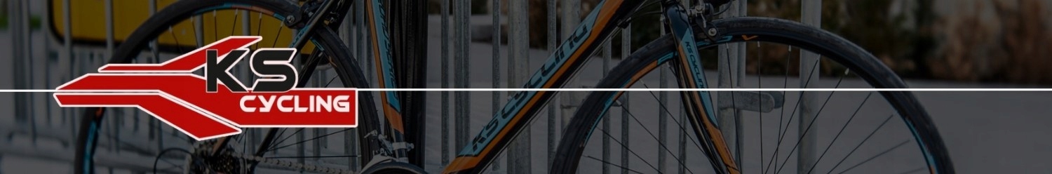 Vyriški ir moteriški dviračių BMX ratai, 20 colių pasukami vairo rotoriaus 360 kaiščiai ratlankiai