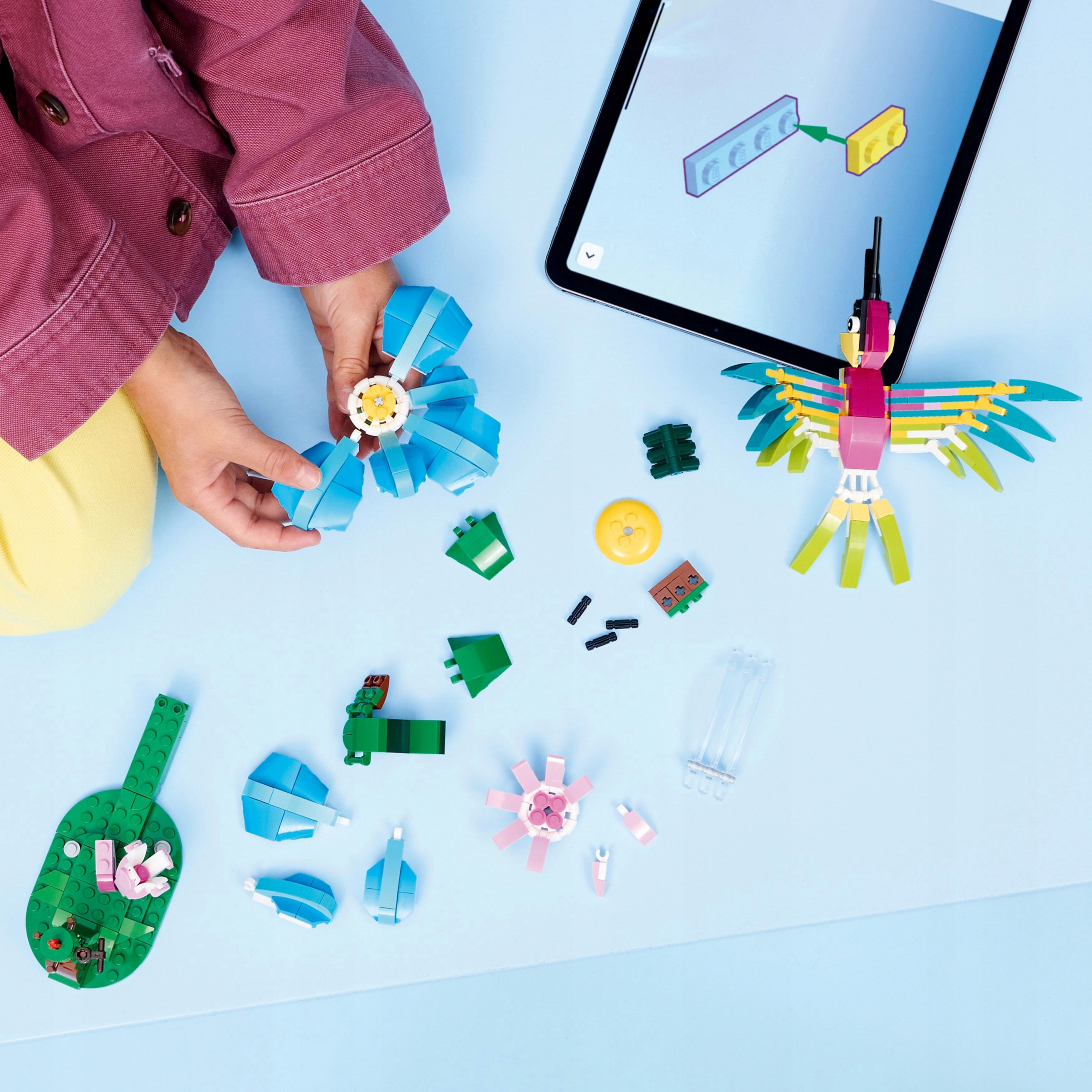 LEGO Creator 3 viename laukiniai gyvūnai: spalvingas kolibris 31384
