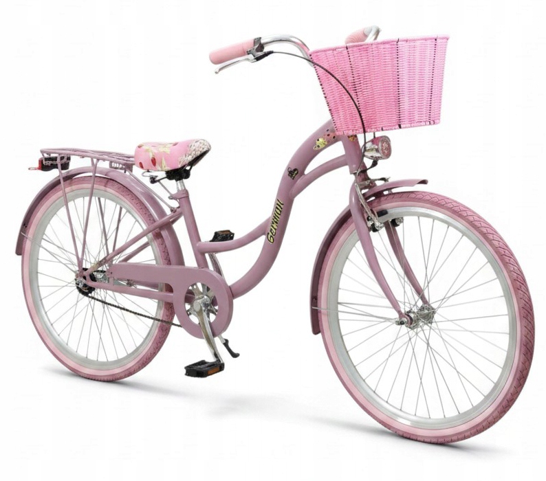 GRAŽUS HEATHER PURPURINIS DVIRAČIO 24 colių 1 GREITIO LILA 128-154 CM KREPŠELIS