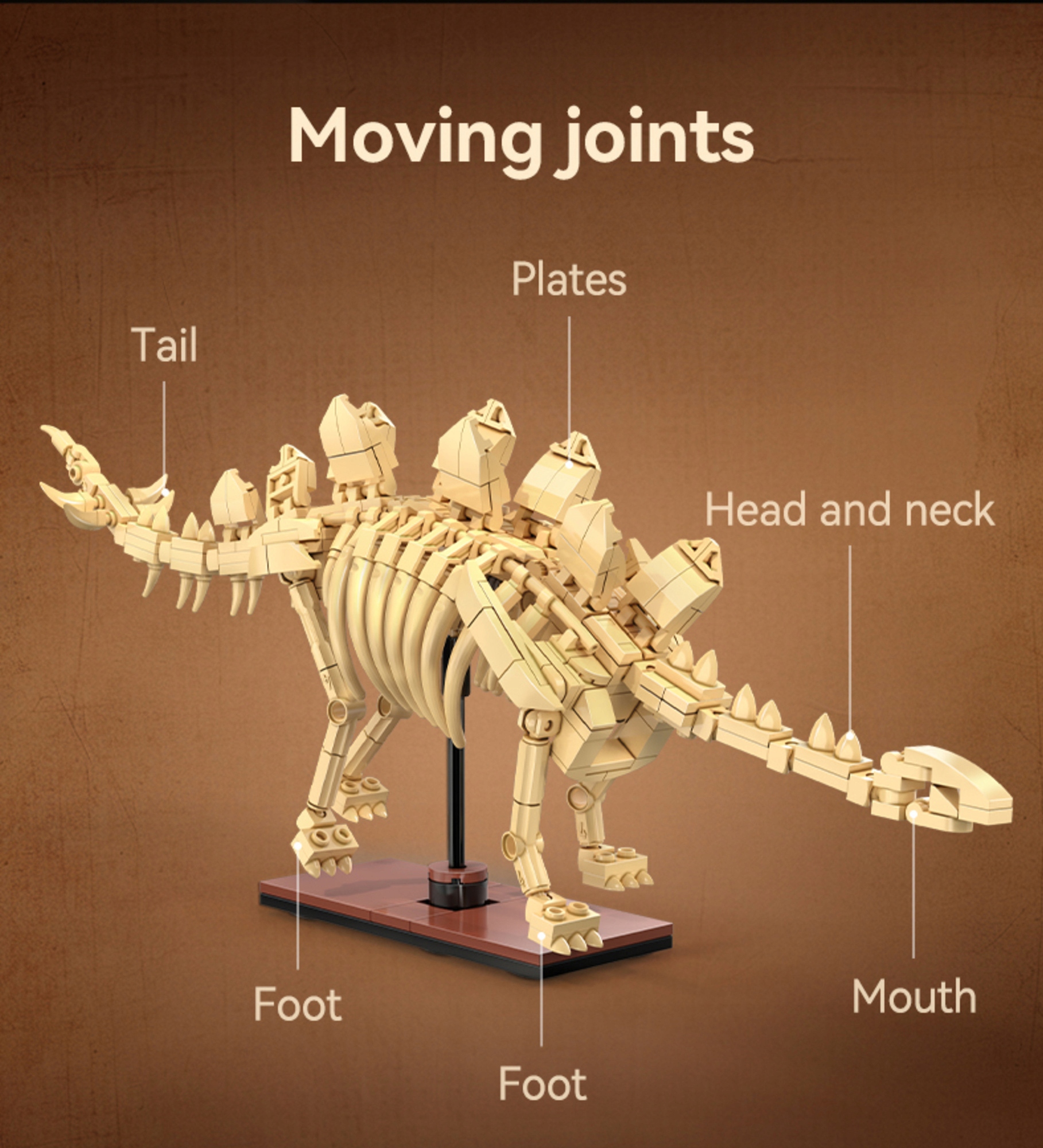 Cada dinozauras sviesiantis skeletas Velociraptor 256 el.