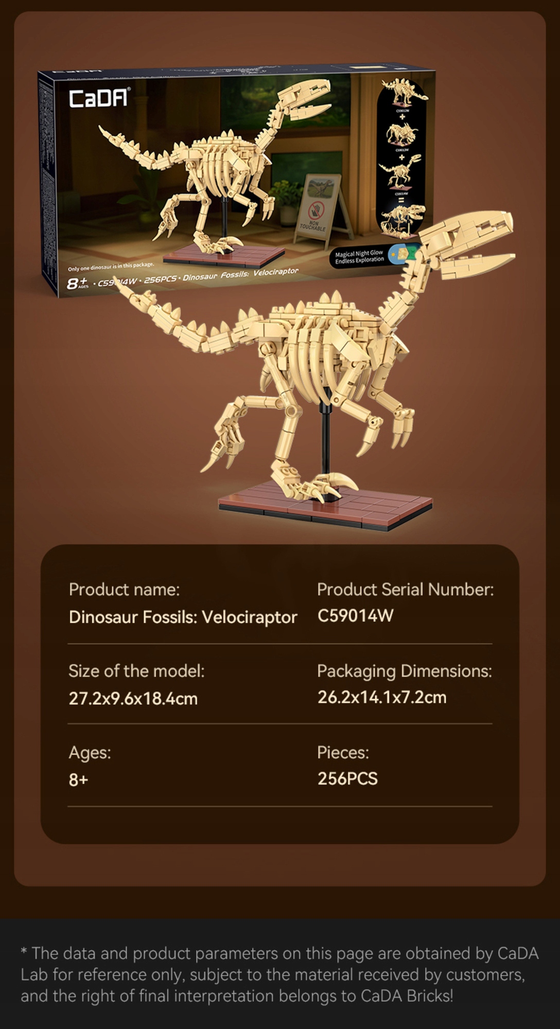 Cada dinozauras sviesiantis skeletas Velociraptor 256 el.