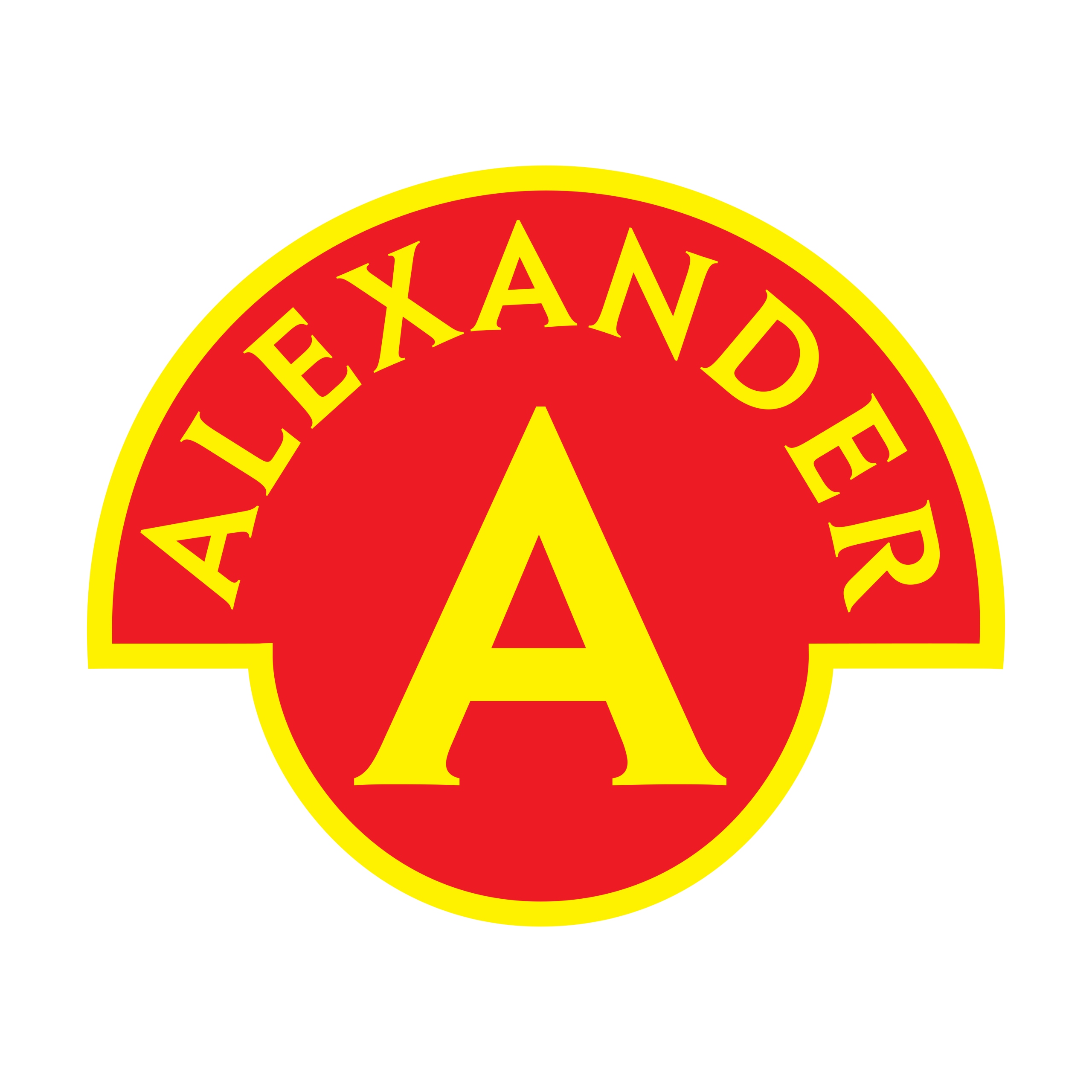 Alexander 3D origami rinkinys, 5 vaisiai, 363 detalės