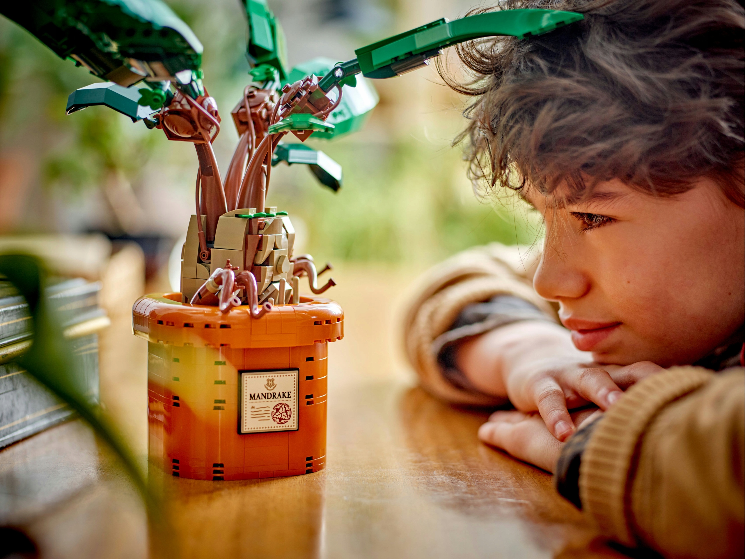 LEGO Harry Potter Mandrágora rinkinys +10 metų