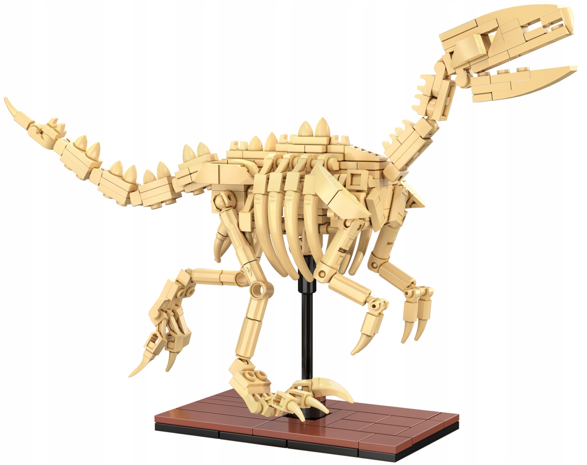 Cada dinozauras sviesiantis skeletas Velociraptor 256 el.