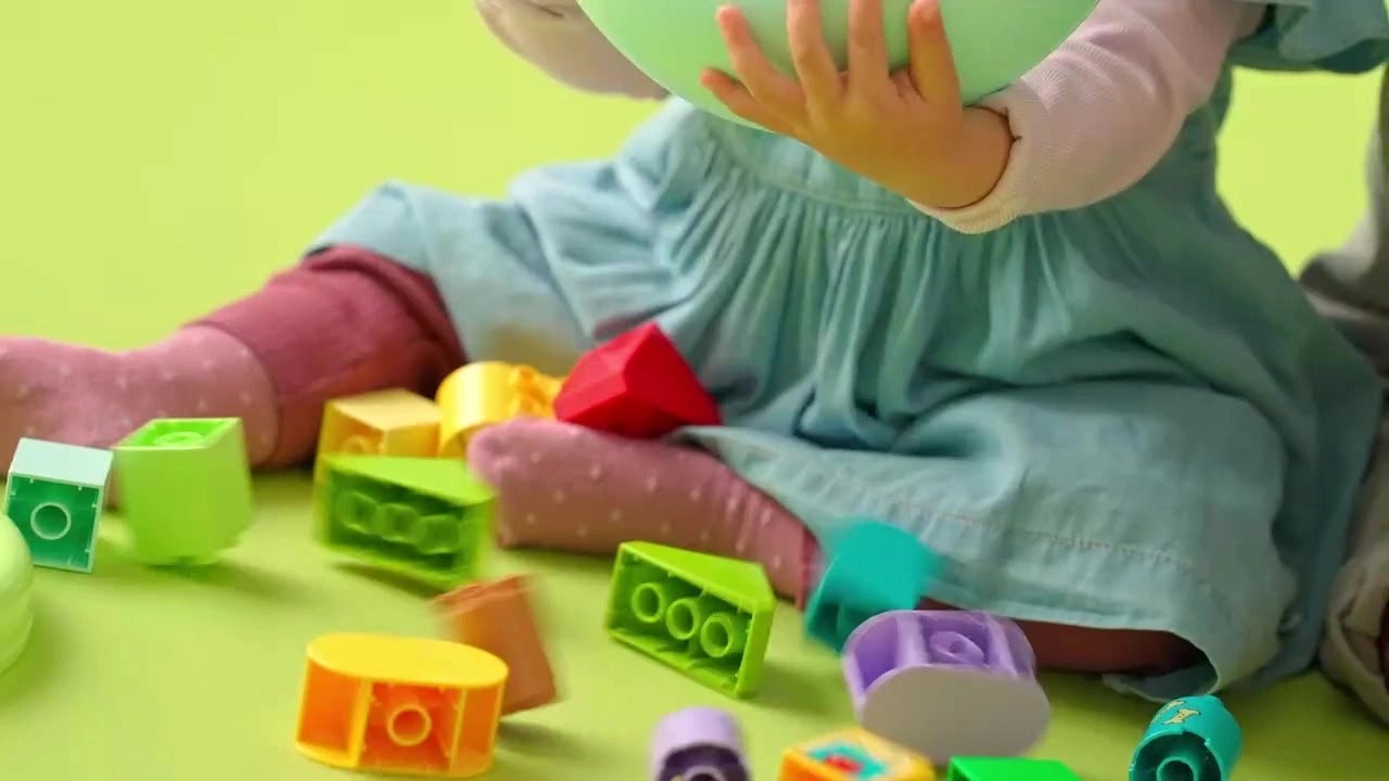 LEGO Duplo 10441 formų rūšiuotojas: šuniukų namai