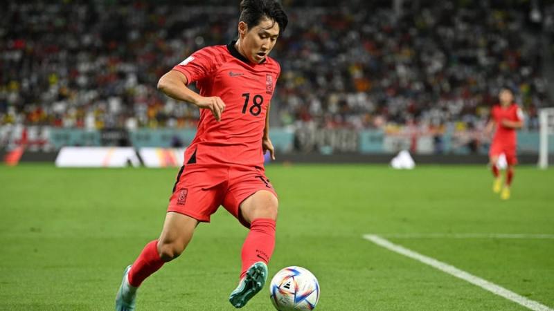 안전놀이터와 이박사: 신뢰할 수 있는 추천의 세계로의 초대 안전놀이터와 이박사: 신뢰할 수 있는 추천의 세계로의 초대