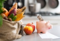 Thriving On A Dime: Your Guide To A Healthy Lifestyle Without Breaking The Bank Thriving On A Dime: Your Guide To A Healthy Lifestyle Without Breaking The Bank