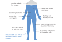 Quench Your Body, Unleash Your Potential: The Natural Power Of Hydration Quench Your Body, Unleash Your Potential: The Natural Power Of Hydration