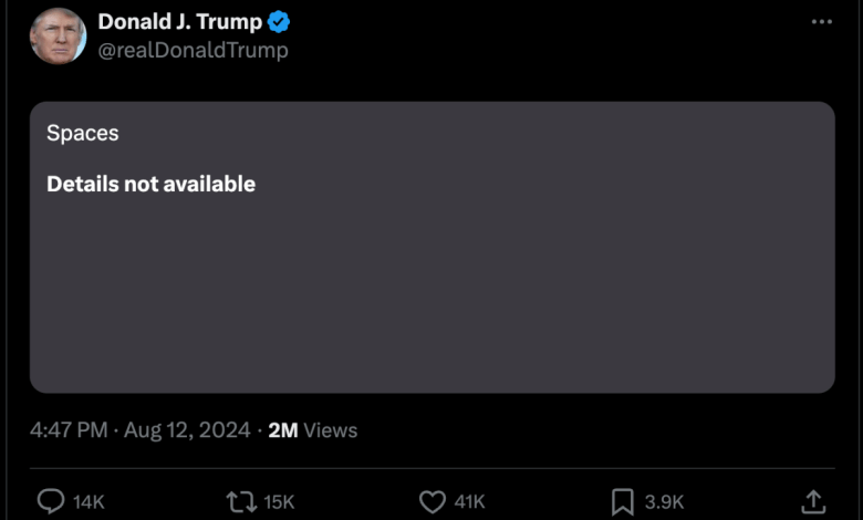 Elon Musk says ‘massive DDOS attack’ delayed his live broadcast with Donald Trump Elon Musk says ‘massive DDOS attack’ delayed his live broadcast with Donald Trump