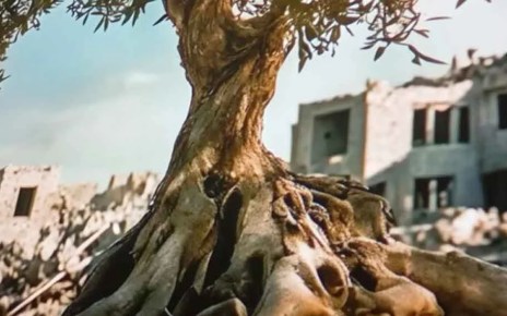 Exhibirán en Chile documental sobre Palestina La raíz del olivo – Al servicio de la verdad Exhibirán en Chile documental sobre Palestina La raíz del olivo – Al servicio de la verdad