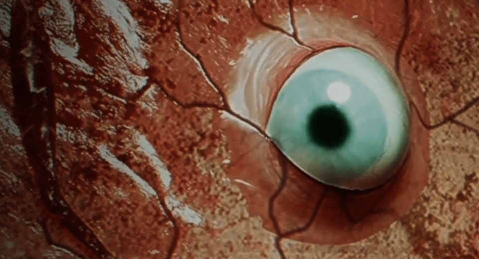 BrokenLore: DON’T WATCH se lanza en PlayStation y Xbox BrokenLore: DON’T WATCH se lanza en PlayStation y Xbox