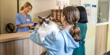 How much does a vet visit cost? How much does a vet visit cost?