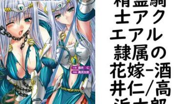 精霊騎士アクエアル 隷属の花嫁(酒井仁/高浜太郎) 精霊騎士アクエアル 隷属の花嫁(酒井仁/高浜太郎)