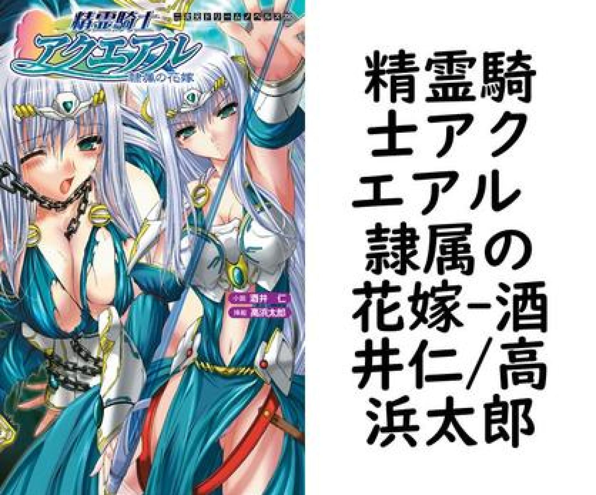 精霊騎士アクエアル 隷属の花嫁(酒井仁/高浜太郎) 精霊騎士アクエアル 隷属の花嫁(酒井仁/高浜太郎)