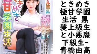ときめき極甘学園生活 黒髪上級生と小悪魔下級生(青橋由高) ときめき極甘学園生活 黒髪上級生と小悪魔下級生(青橋由高)