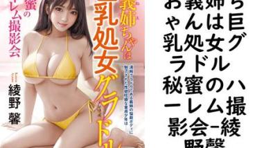 お義姉ちゃんは巨乳処女グラドル 秘蜜のハーレム撮影会(綾野馨) お義姉ちゃんは巨乳処女グラドル 秘蜜のハーレム撮影会(綾野馨)