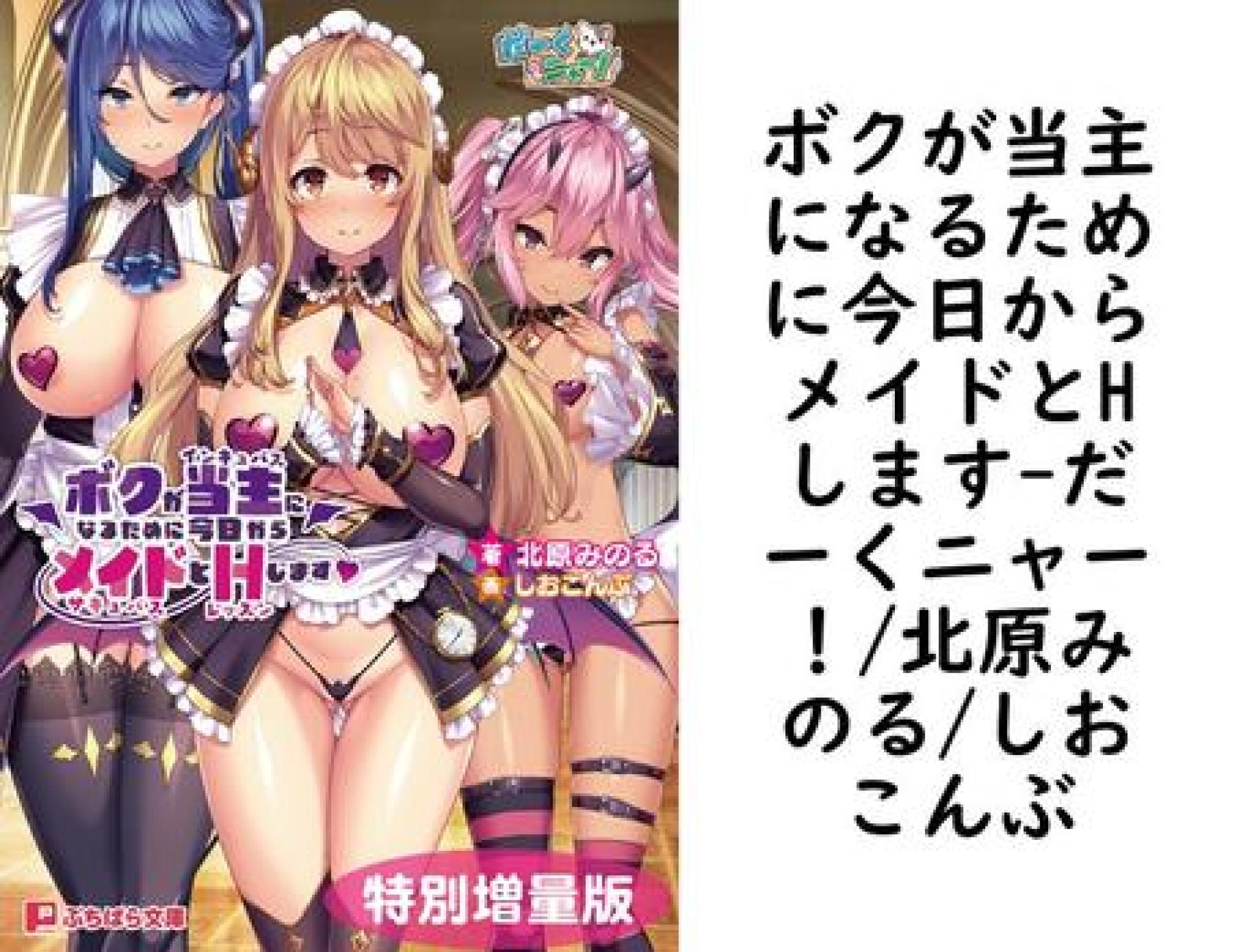 ボクが当主になるために今日からメイドとHします【だーくニャー!/北原みのる/しおこんぶ】(ぷちぱら文庫) ボクが当主になるために今日からメイドとHします【だーくニャー!/北原みのる/しおこんぶ】(ぷちぱら文庫)