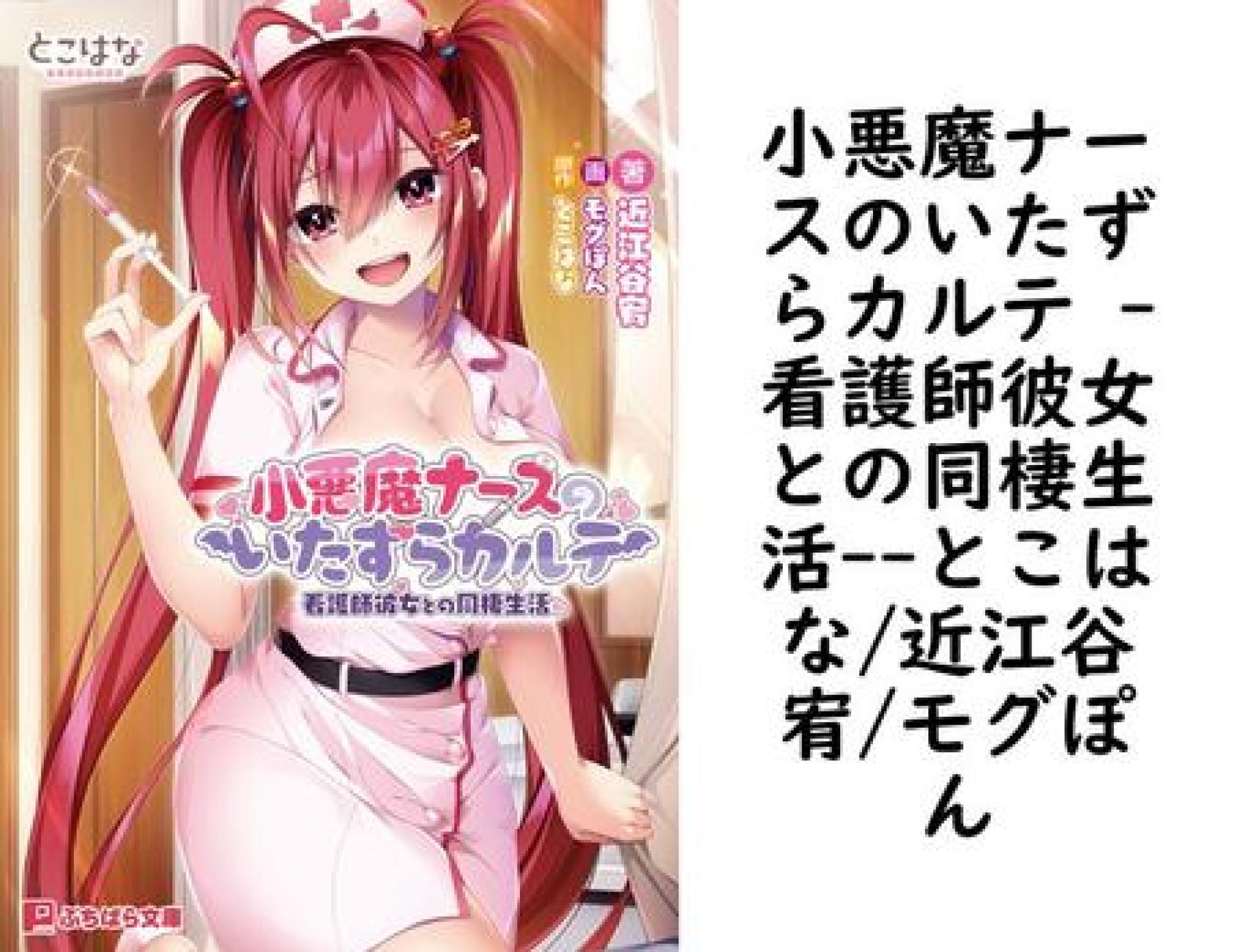 小悪魔ナースのいたずらカルテ -看護師彼女との同棲生活-【とこはな/近江谷宥/モグぽん】(ぷちぱら文庫) 小悪魔ナースのいたずらカルテ -看護師彼女との同棲生活-【とこはな/近江谷宥/モグぽん】(ぷちぱら文庫)