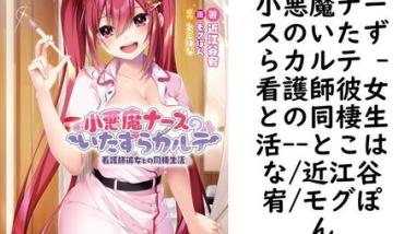 小悪魔ナースのいたずらカルテ -看護師彼女との同棲生活-【とこはな/近江谷宥/モグぽん】(ぷちぱら文庫) 小悪魔ナースのいたずらカルテ -看護師彼女との同棲生活-【とこはな/近江谷宥/モグぽん】(ぷちぱら文庫)