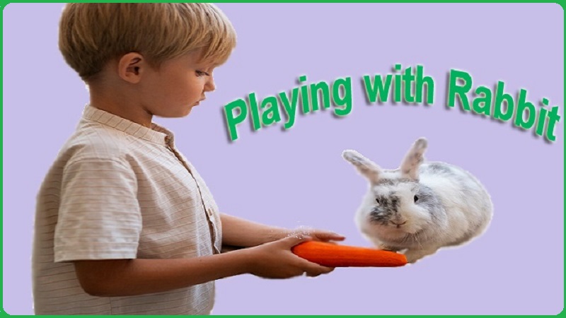 How to Play with Your Rabbit How to Play with Your Rabbit