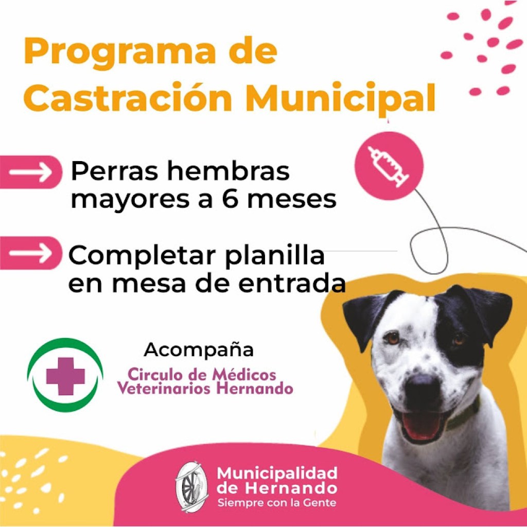 PROGRAMA DE CASTRACIÓN MUNICIPAL 2024 PROGRAMA DE CASTRACIÓN MUNICIPAL 2024