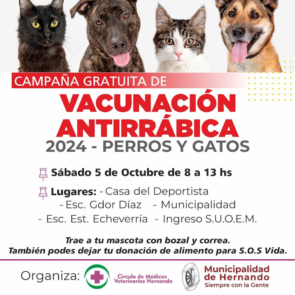 CAMPAÑA GRATUITA DE VACUNACIÓN ANTIRRÁBICA 2024 EN HERNANDO CAMPAÑA GRATUITA DE VACUNACIÓN ANTIRRÁBICA 2024 EN HERNANDO