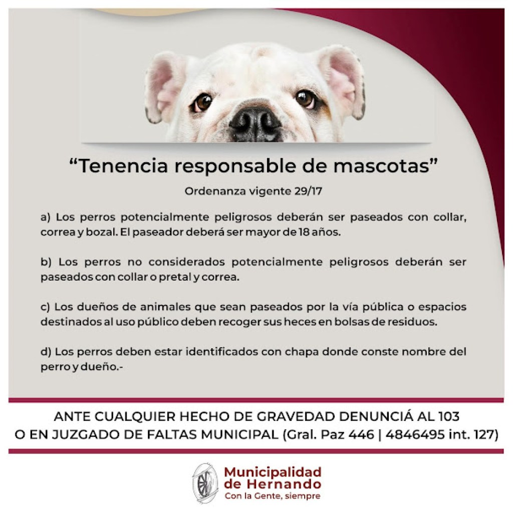 TENENCIA RESPONSABLE DE MASCOTAS TENENCIA RESPONSABLE DE MASCOTAS