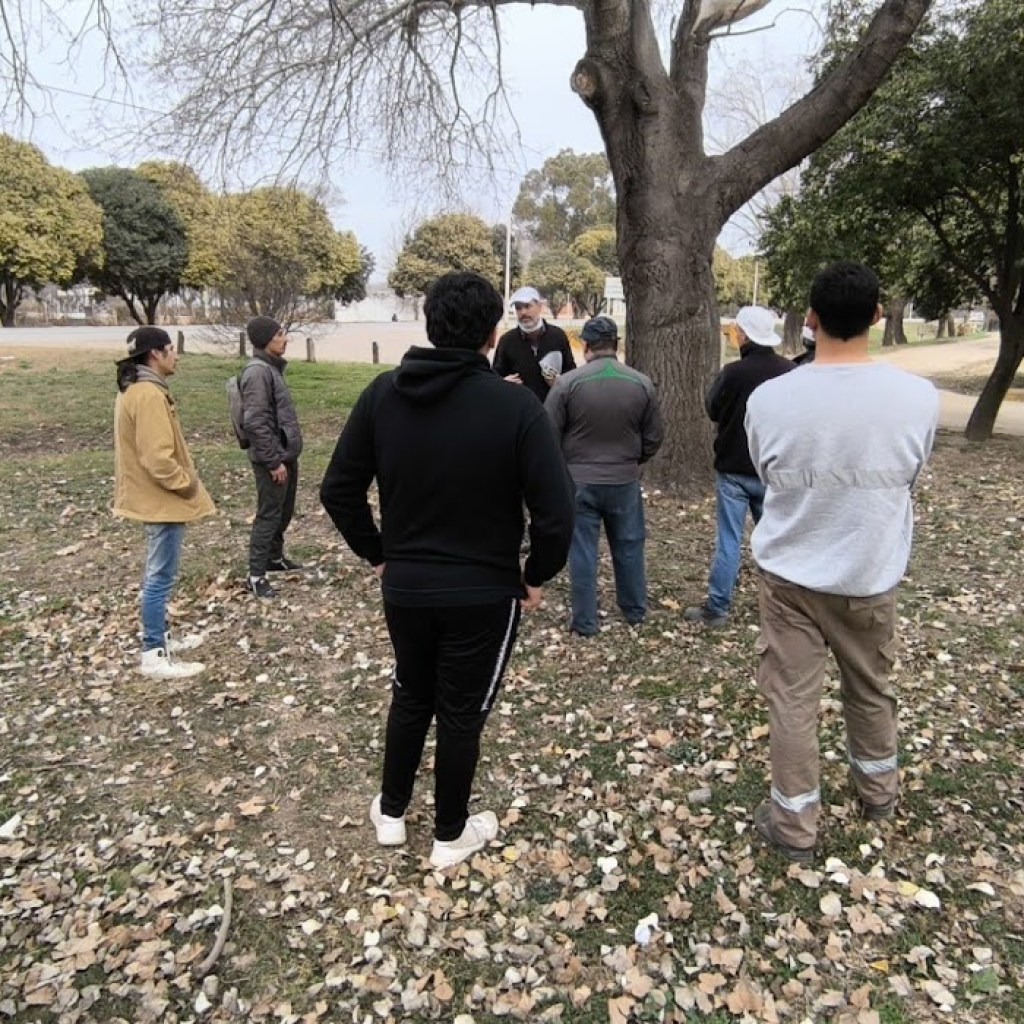 CURSO INICIACIÓN A LA PODA DE ARBOLADO URBANO CURSO INICIACIÓN A LA PODA DE ARBOLADO URBANO