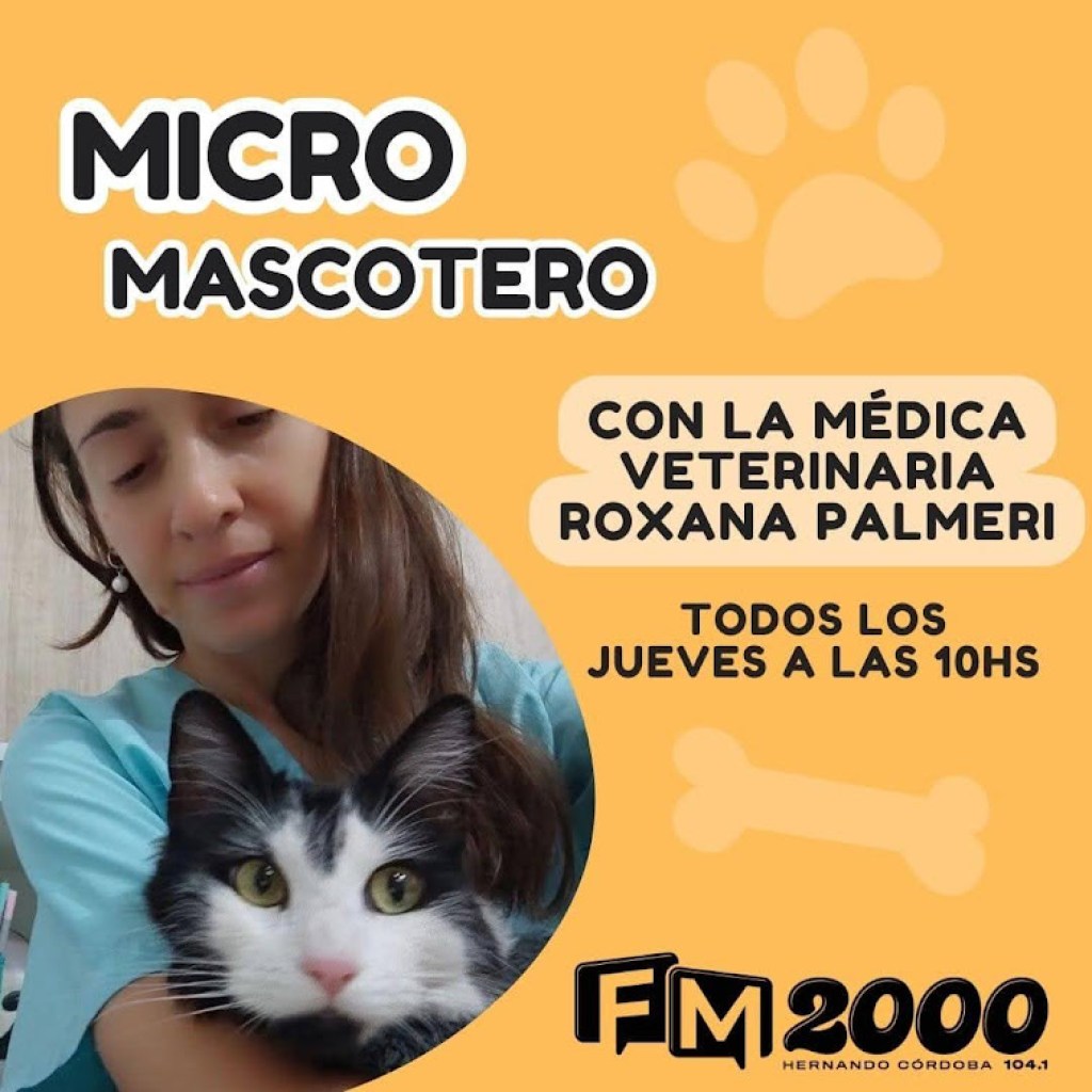 MICRO MASCOTERO – DRA ROXANA PALMERI MICRO MASCOTERO – DRA ROXANA PALMERI