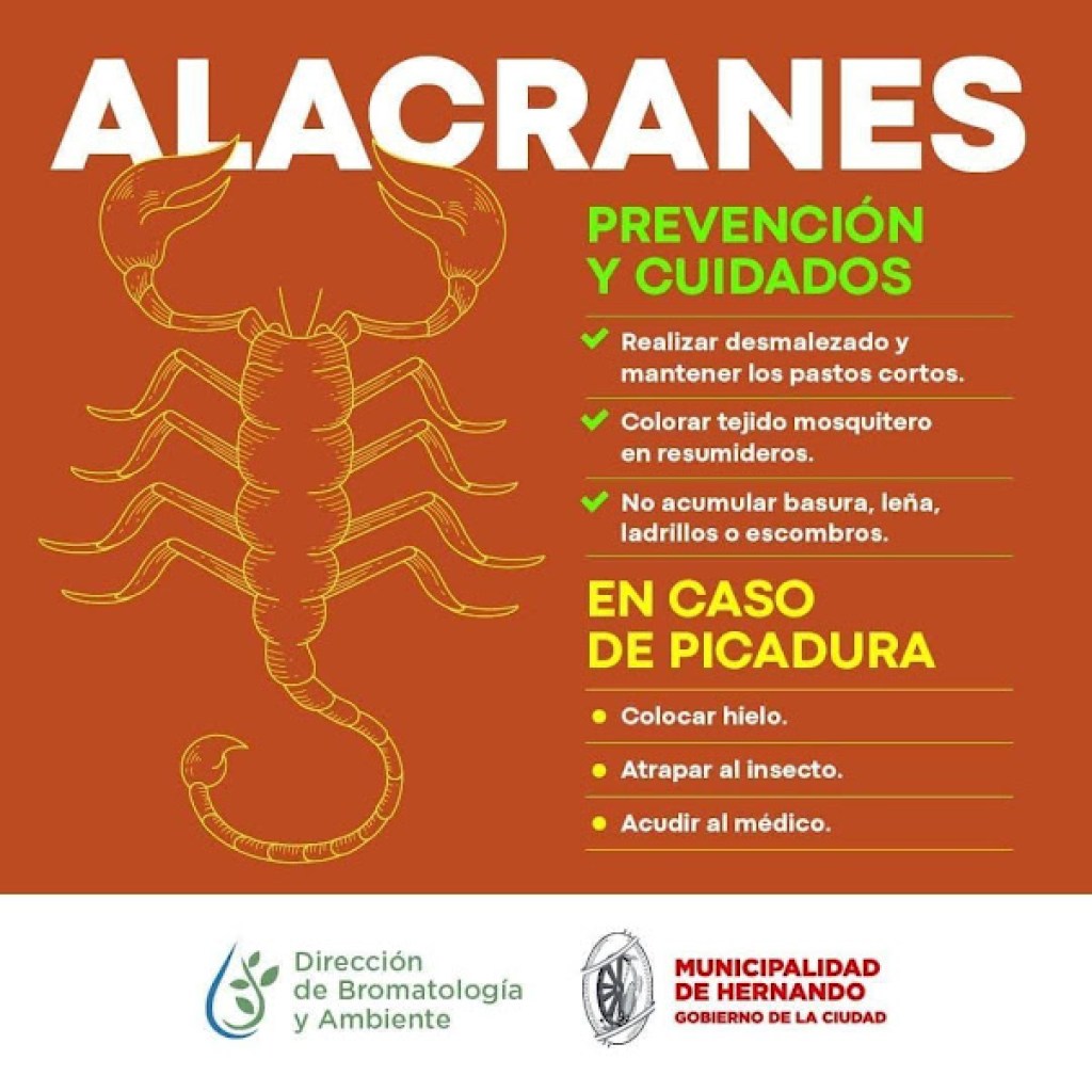 PRECAUCIÓN! ALACRANES! PRECAUCIÓN! ALACRANES!