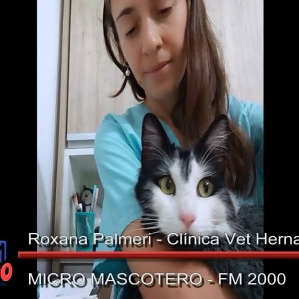 MICRO MASCOTERO – DRA ROXANA PALMERI MICRO MASCOTERO – DRA ROXANA PALMERI