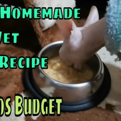 Resep Wet Food Kucing: Panduan Membuat Makanan Basah Sehat Resep Wet Food Kucing: Panduan Membuat Makanan Basah Sehat