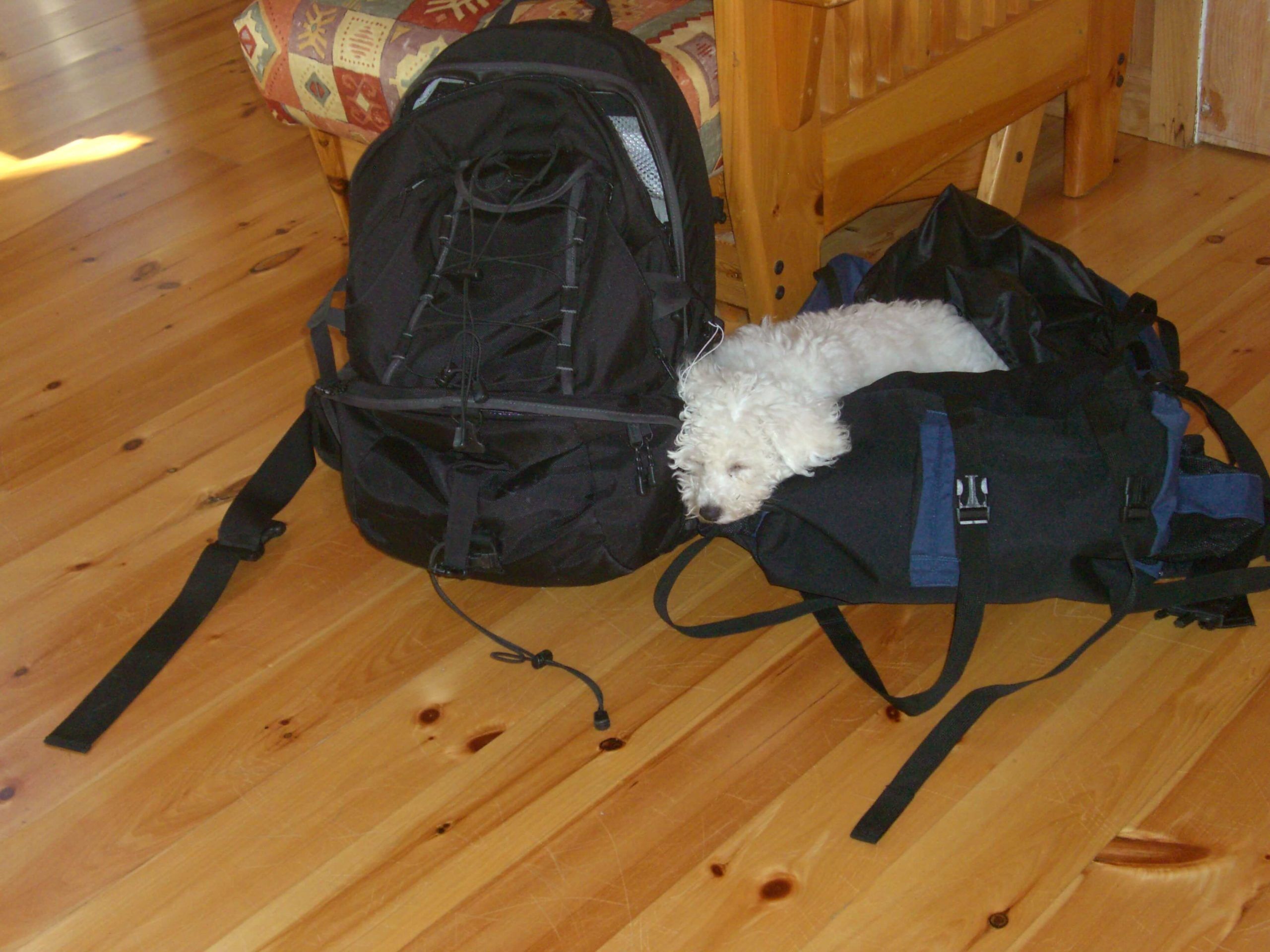 Are Travel Expenses For Job Interviews Tax Deductible? Are Travel Expenses For Job Interviews Tax Deductible?